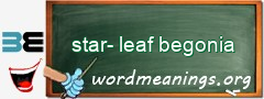 WordMeaning blackboard for star-leaf begonia